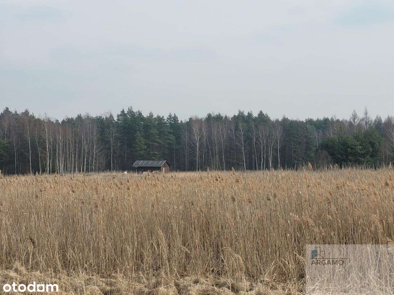 Działka, 4 220 m², Ciągowice - Pełny obrazek: 4/8