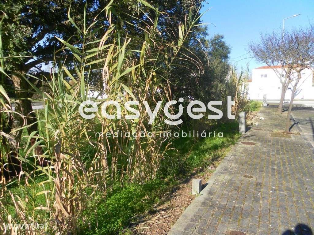 Lote de Terreno Urbano 253m2 para Moradia - Entroncamento - Grande imagem: 2/9