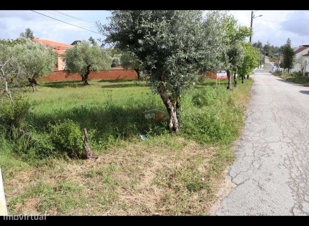 terreno - Grande imagem: 3/10