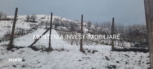 Teren 2000 mp. Calinesti, Str. Valeni Podgoria