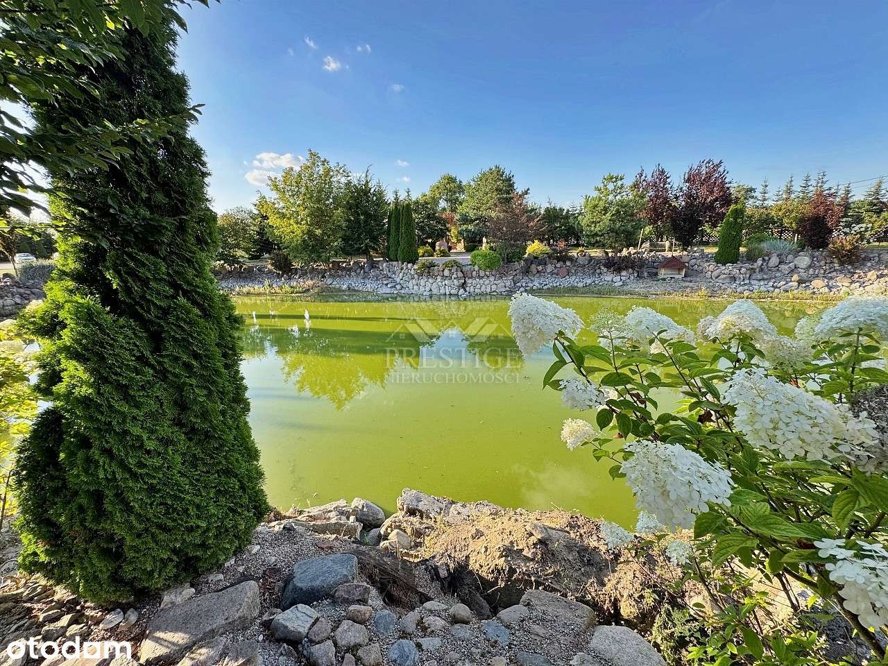 Dwa domy, siedlisko ze stawem i halą, wśród lasu-5