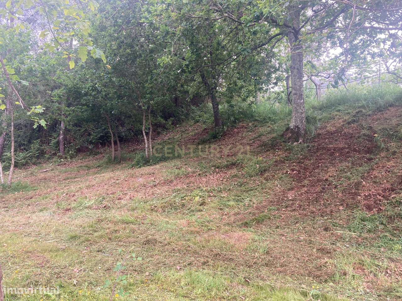 Terreno Rústico Excepcional em Oldrões, Penafiel – Um Mundo de Possibi - Grande imagem: 5/14