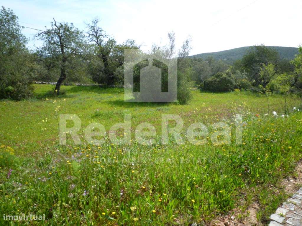 Terreno rústico, Loulé - Grande imagem: 2/15