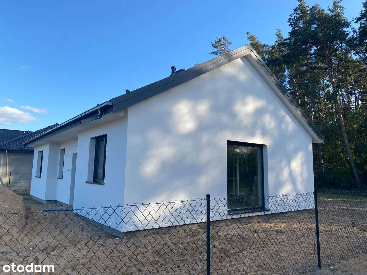 Słupia gm Stęszew LAS JEZIORO - Pełny obrazek: 5/20