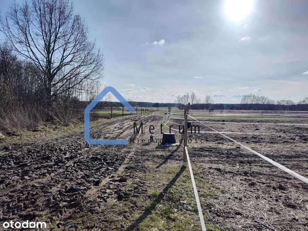 Działka Nowe Racibory-  60 159m2! - Pełny obrazek: 5/7