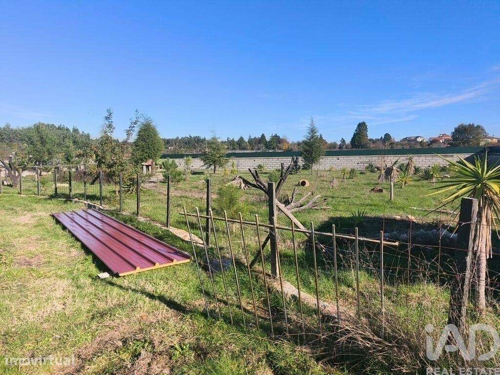 Terreno em Ervedal e Vila Franca da Beira - Grande imagem: 4/40