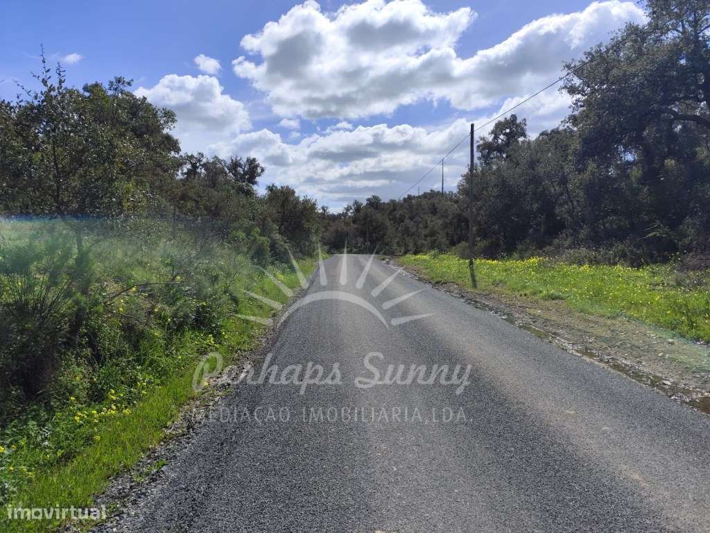Terreno Rústico - Santa Margarida da Serra - Grande imagem: 5/5