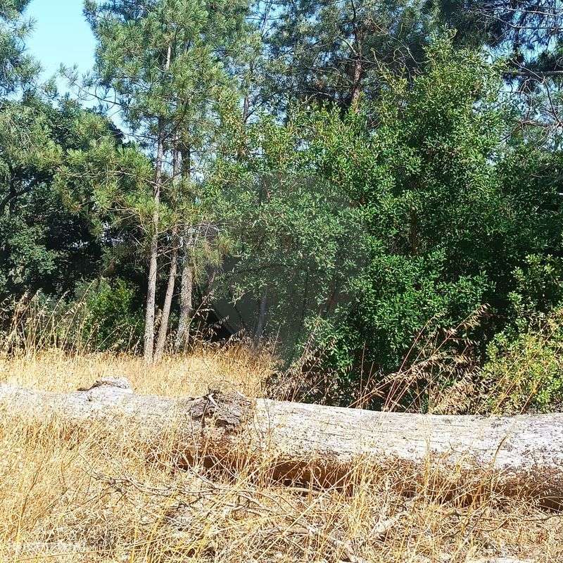 Terreno  para venda - Grande imagem: 5/6