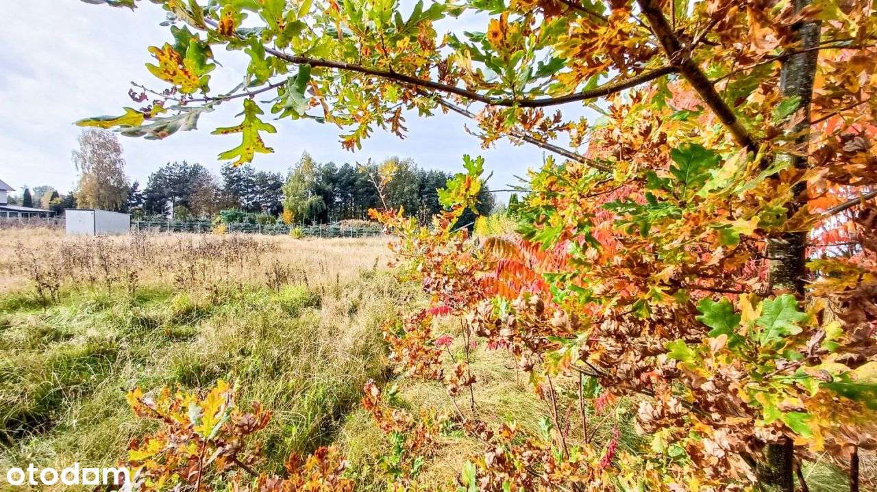 Działka 1246 m2, na sprzedaż - Nieżywięć.-9