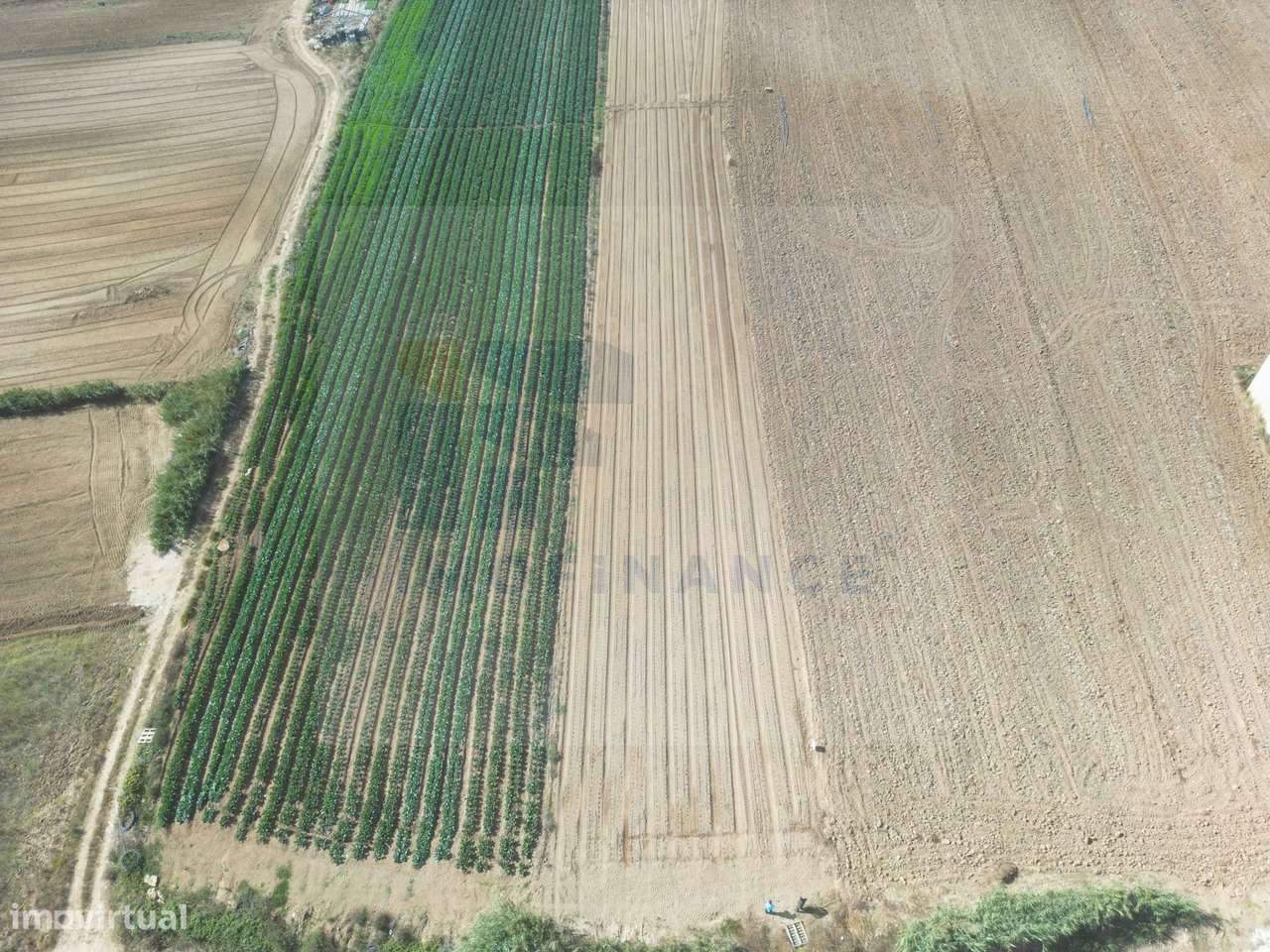 Terreno Urbano para Construção, Atouguia da Baleia, Peniche - Grande imagem: 5/9