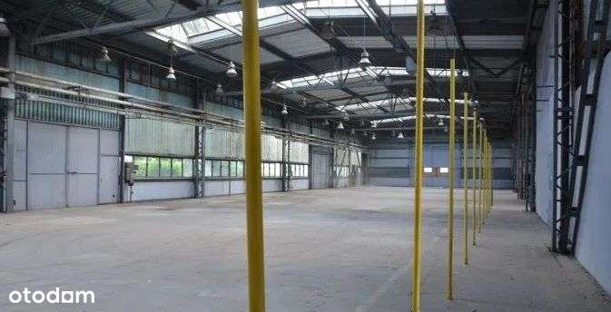 Hala produkcyjna 600 Kw - 17zł/m2 netto - Pełny obrazek: 4/10