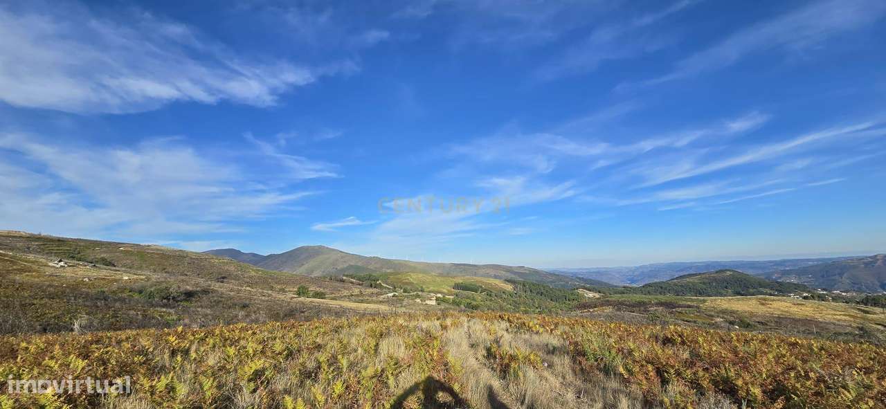 Terreno à venda em Gestaçô, Baião - Oportunidade Única! - Grande imagem: 4/5