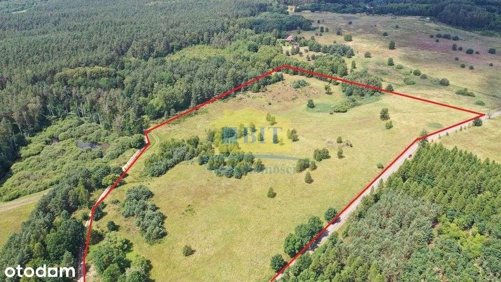 Kompleks działek z warunkami zabudowy w Gronowie - Pełny obrazek: 4/6