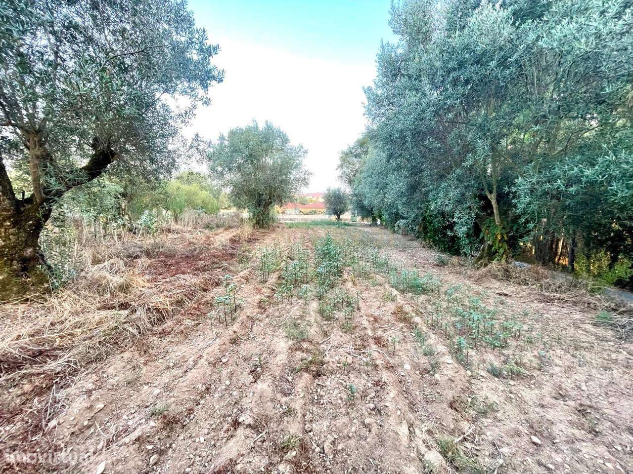 A sua Moradia Térrea de Sonho começa aqui!-6