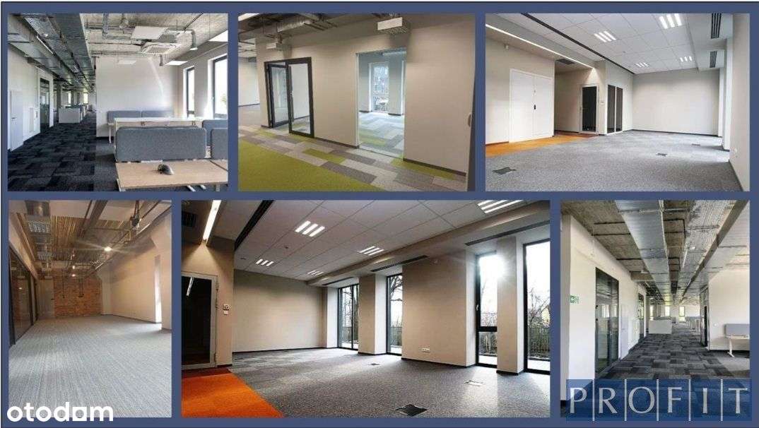 Komfortowe biuro 177m² , Parking - Pełny obrazek: 4/6