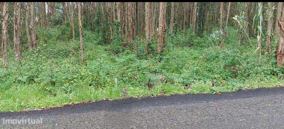 Terreno Rústico, inserido em uma zona tranquila no Paião, 14 minutos d - Grande imagem: 5/5