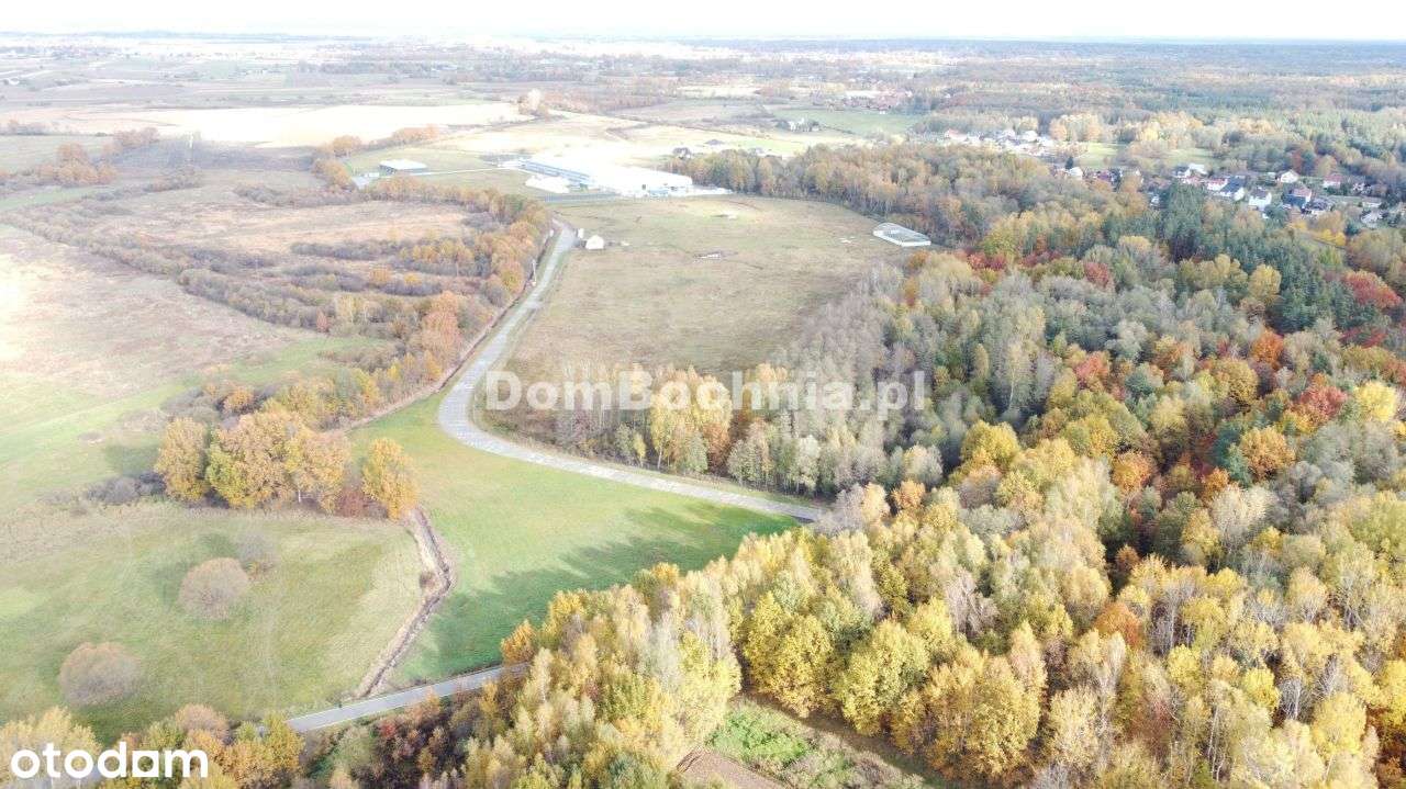 38ar budowlana przy drodze Borek Rzezawa-14