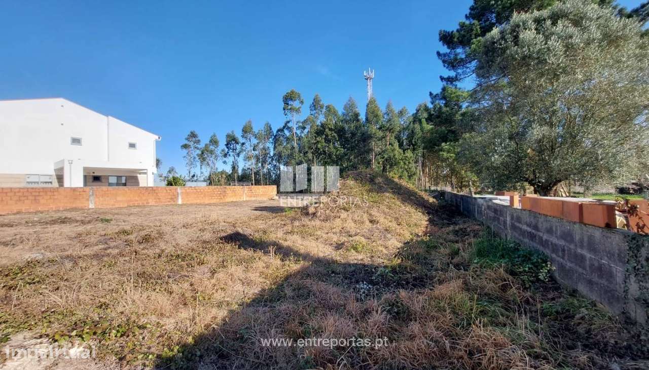 Lote - Forjães - Grande imagem: 2/30