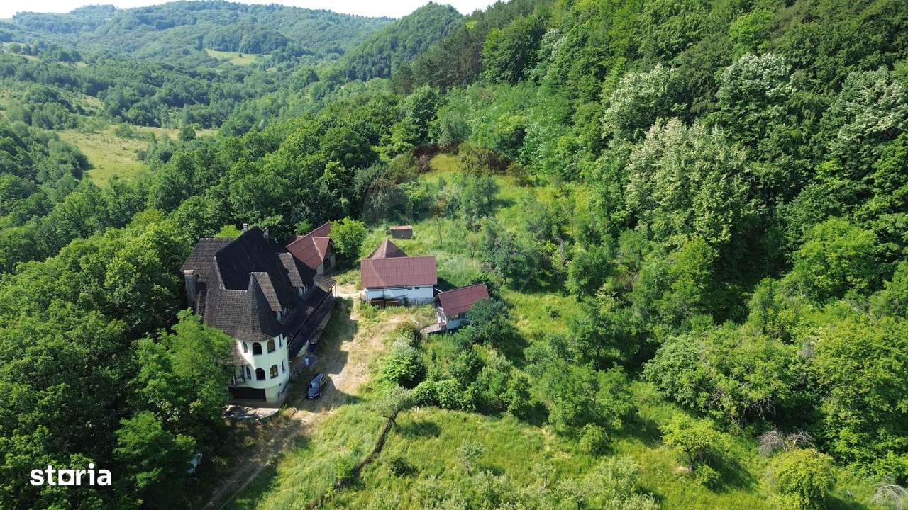 CASTEL DE VANZARE IN MARAMURES-6