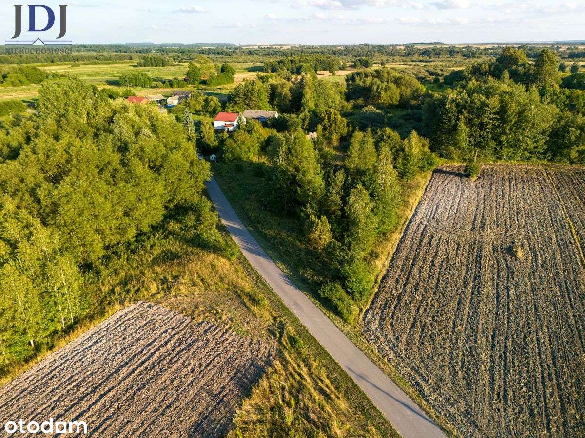 Działka.1.64 ha.Chojno Nowe Pierwsze.Lubelskie-5