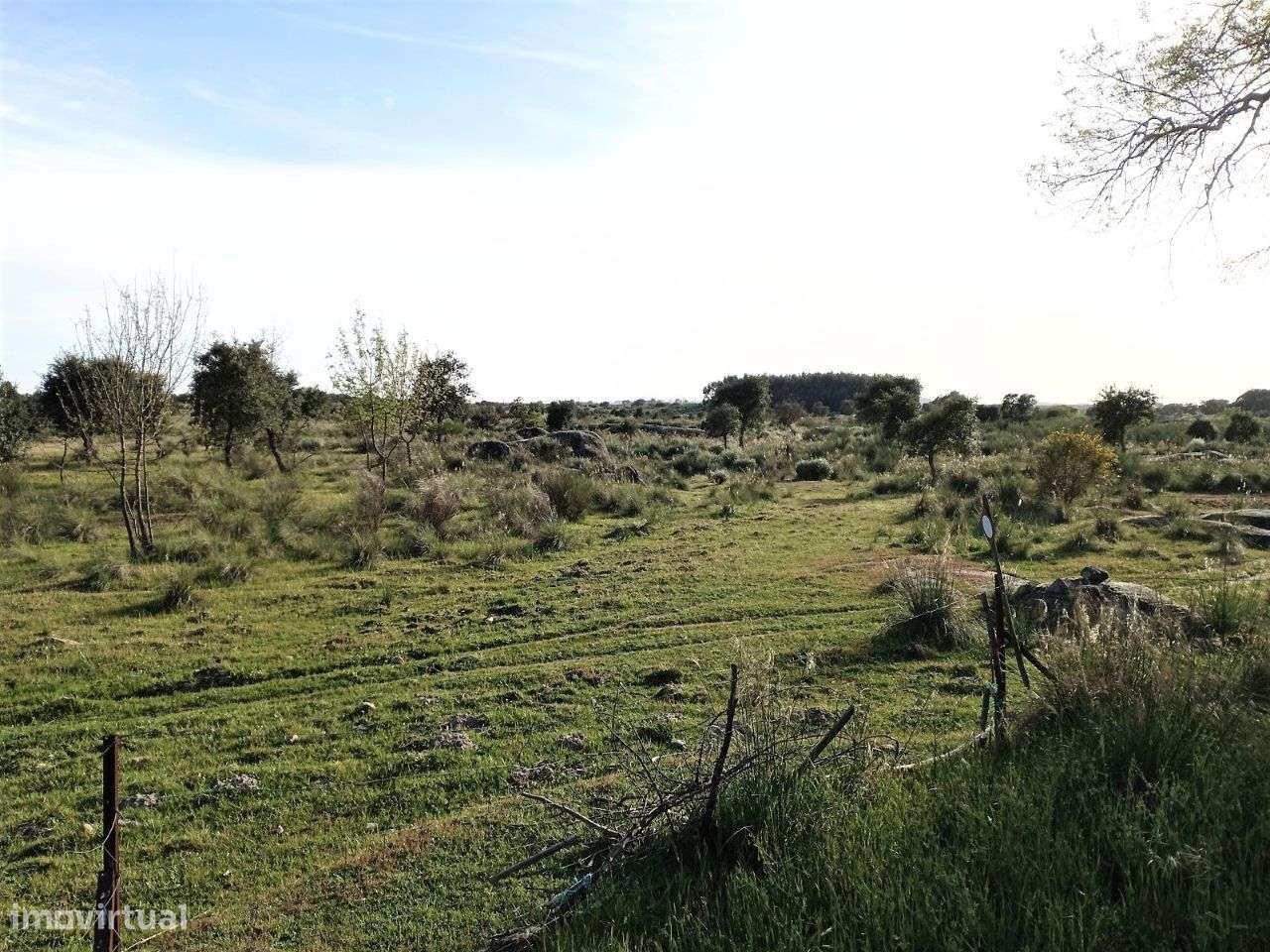 Terreno - Grande imagem: 3/5