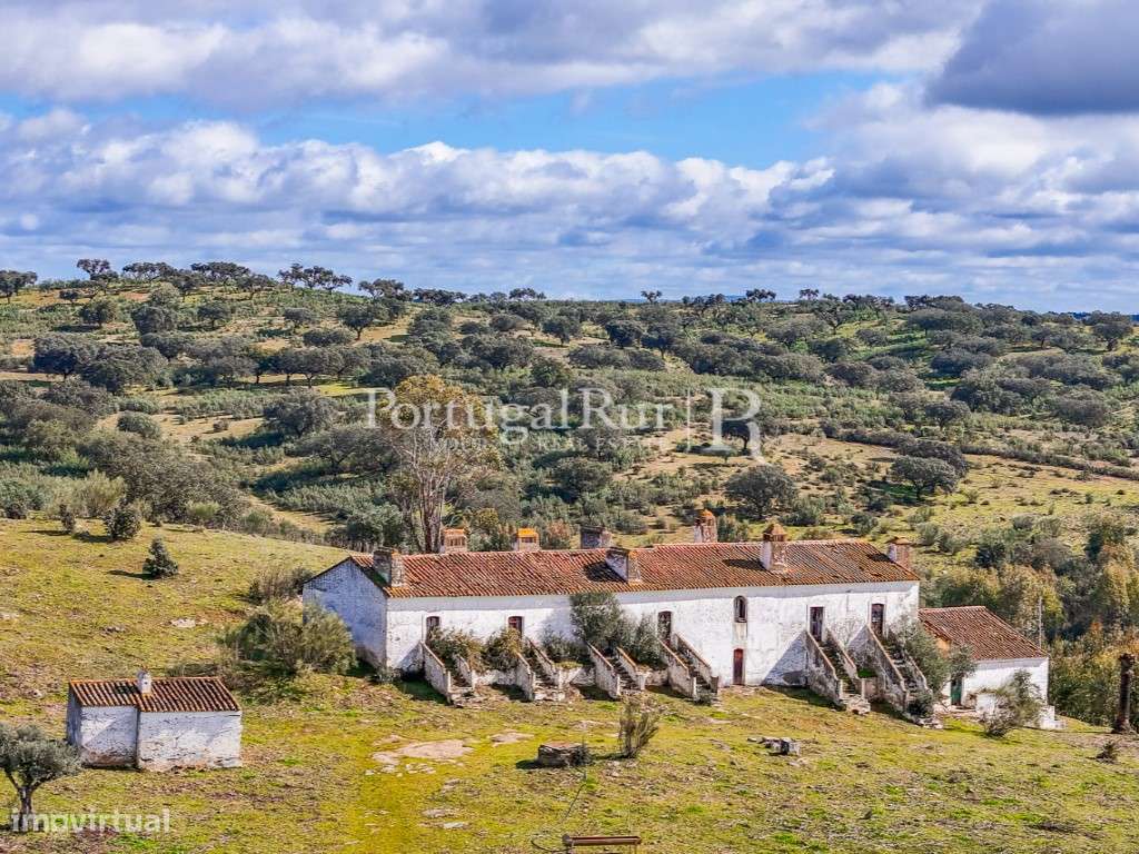 Quinta De 11 Hectares Com Aptidao Para Hotel Rural