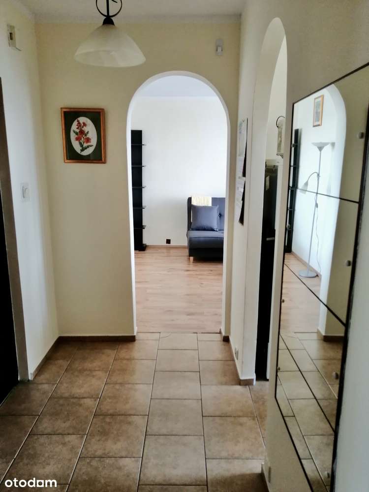 Zadbane, komfortowe 2-pokojowe mieszkanie na Ratajach-1