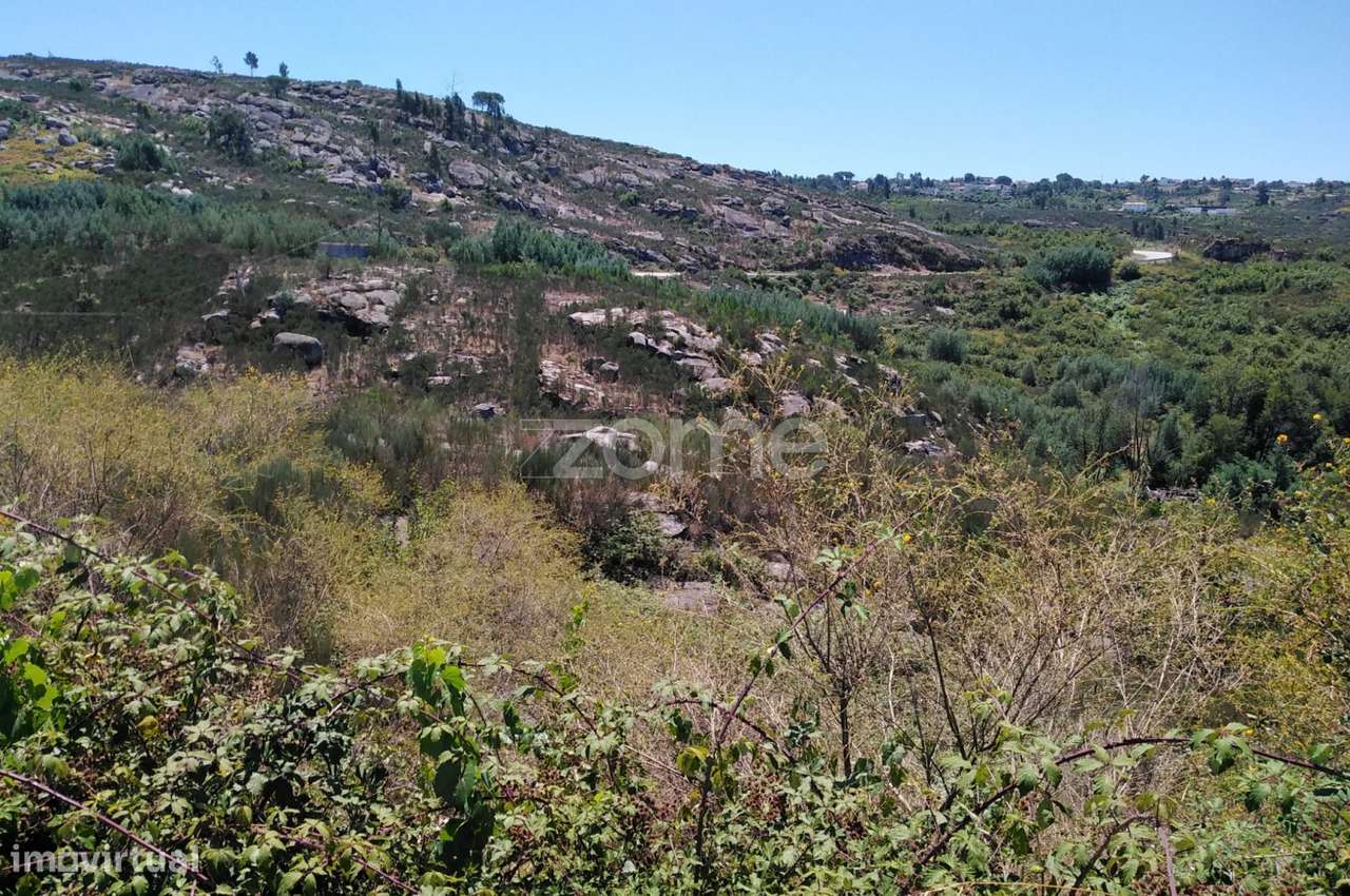 Terreno 6.000m2 em Lagares - Coimbra - Grande imagem: 2/15