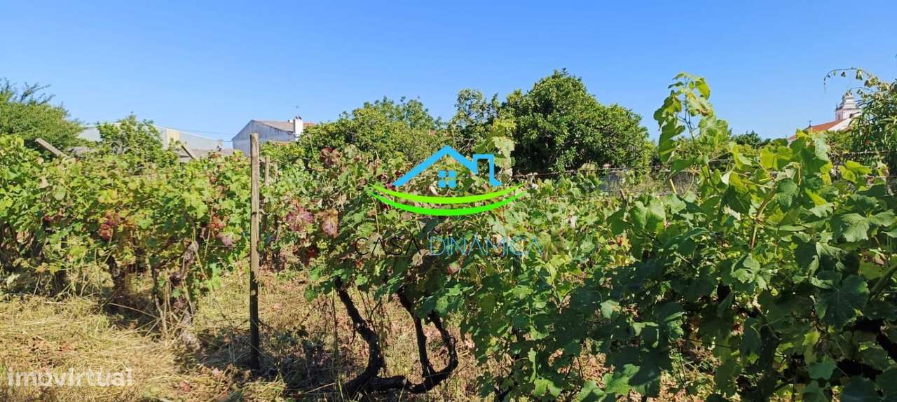 Terreno no Paião com viabilidade de construção - Grande imagem: 5/20