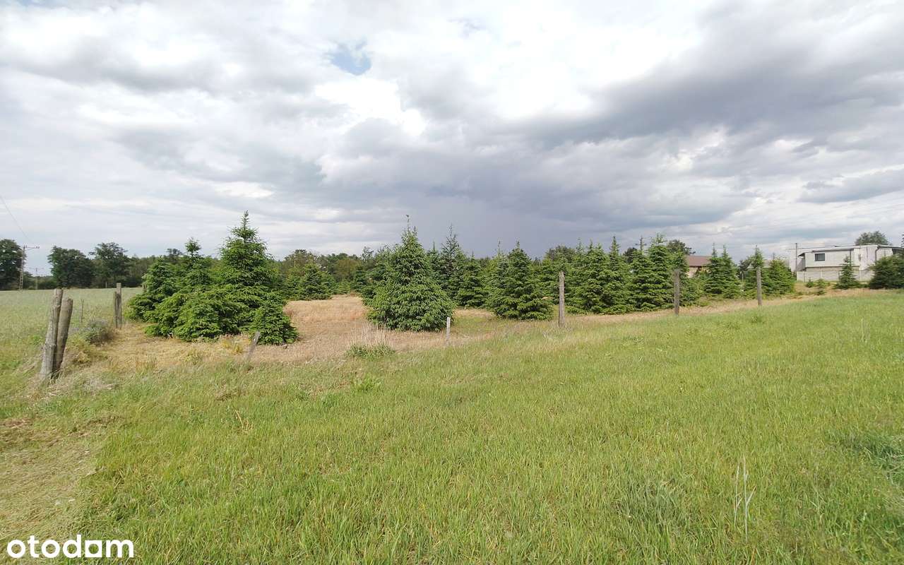 Duża działka, duże możliwości.