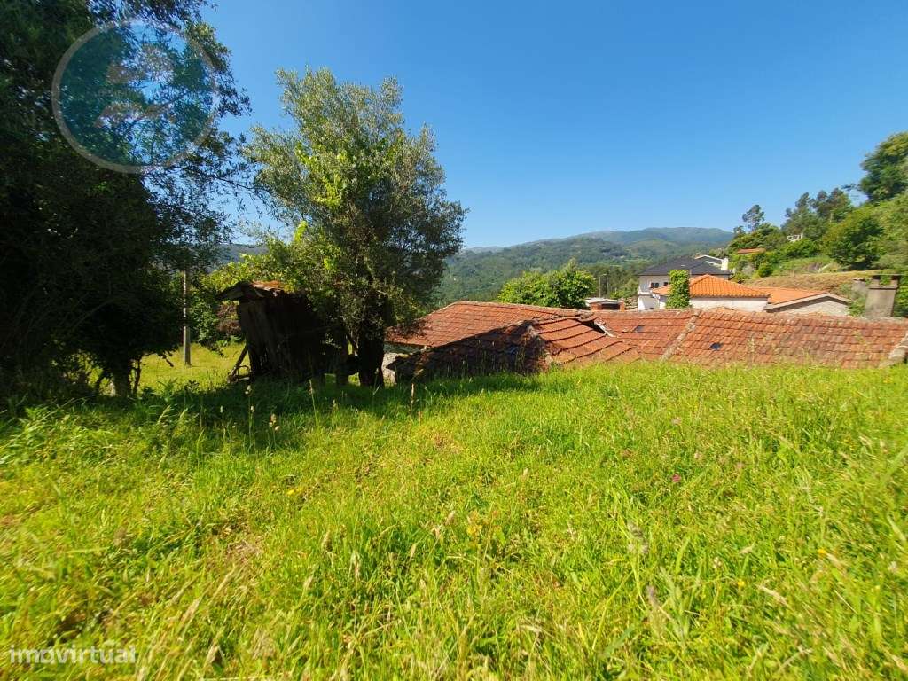 Quinta à venda para restauro em Arroteia freguesia de Rossas-18