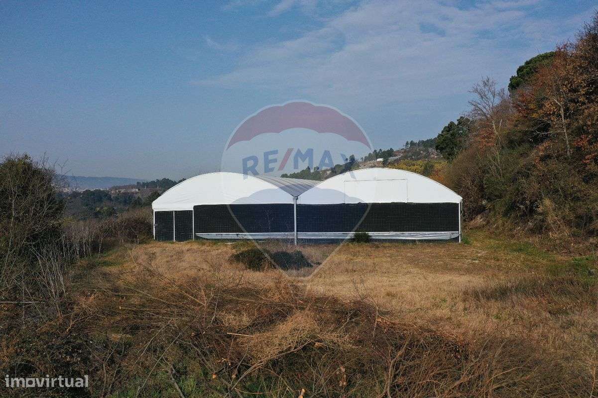 Terreno  para venda - Grande imagem: 4/11