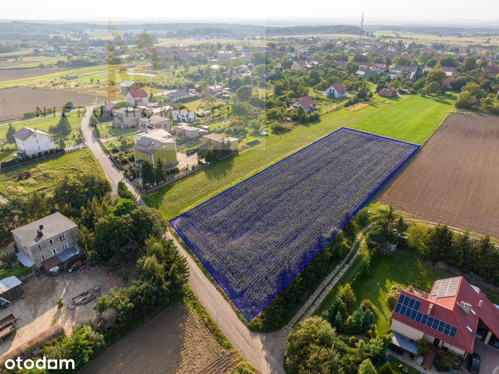 Działka budowlana w Wińsku, 5.200 m2 - Pełny obrazek: 4/15