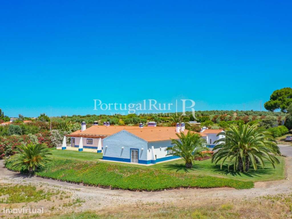 Herdade de 30ha com aeródromo certificado e excelente moradia - Grande imagem: 4/60