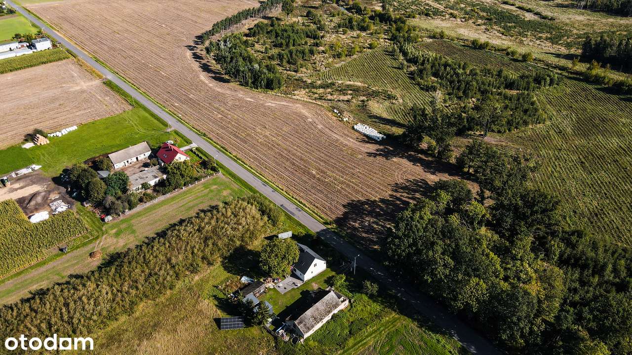 Nowy Folwark, gm. Września, pow. wrzesiński, woj. wielkopolskie-6