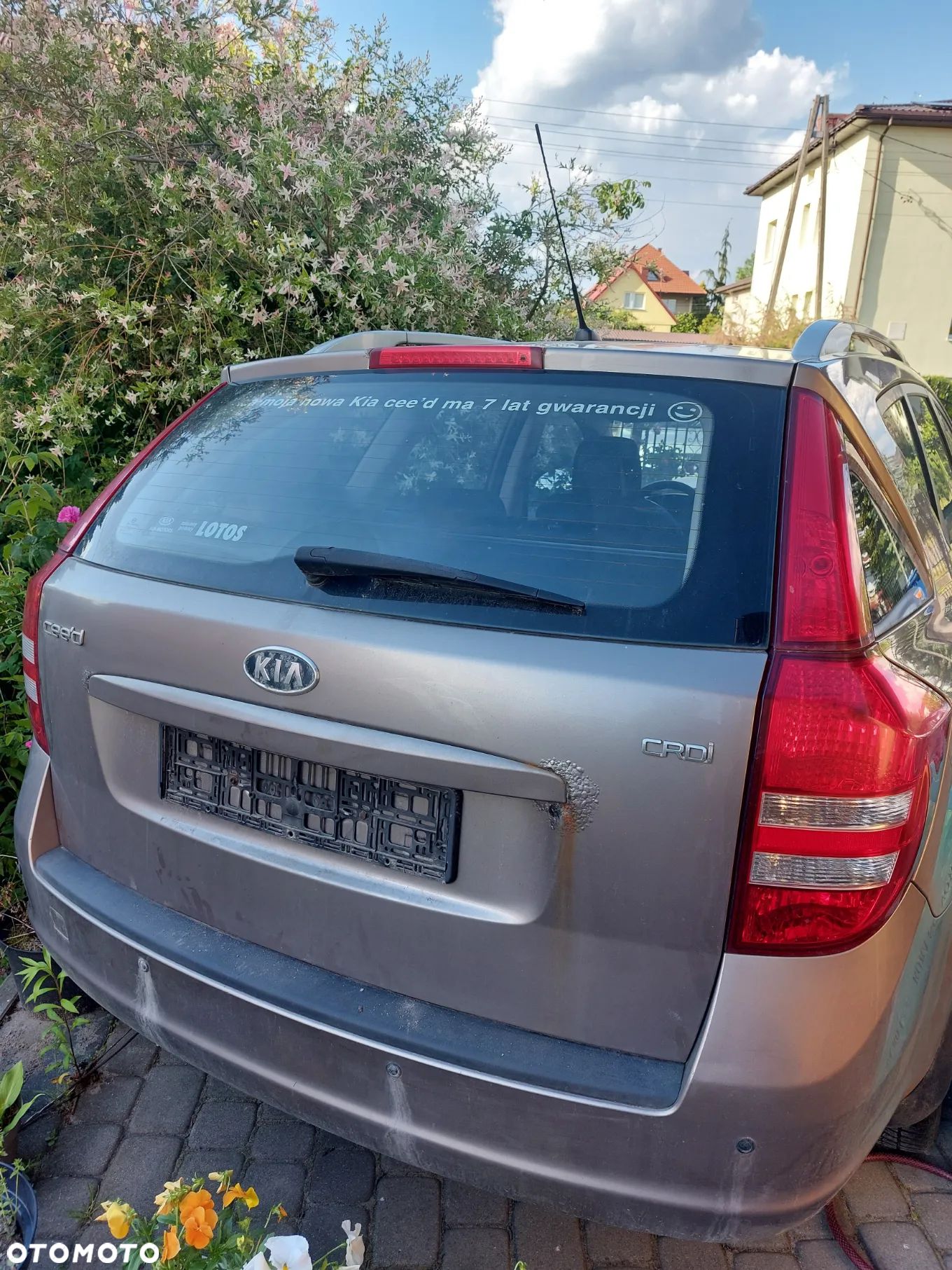 Kia Ceed Cee'd 1.6 Crdi Optimum - 1