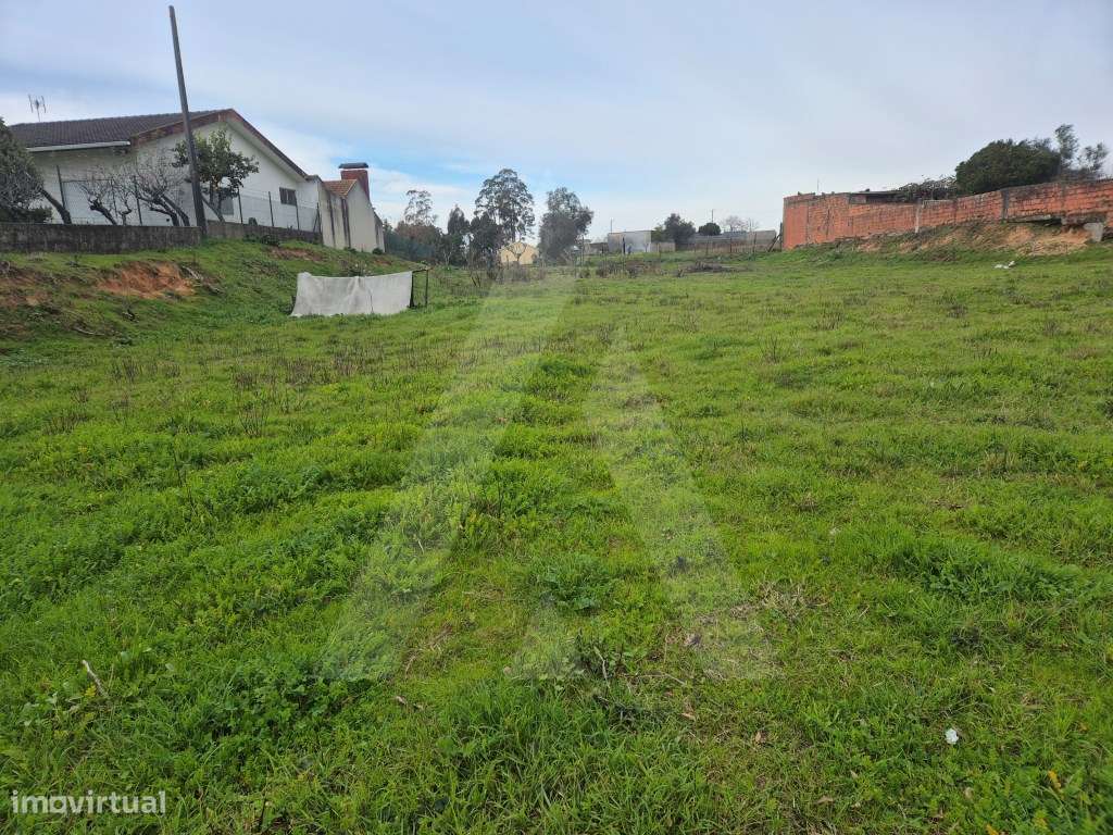 Terreno para construção de moradia em Angeja - Grande imagem: 4/9