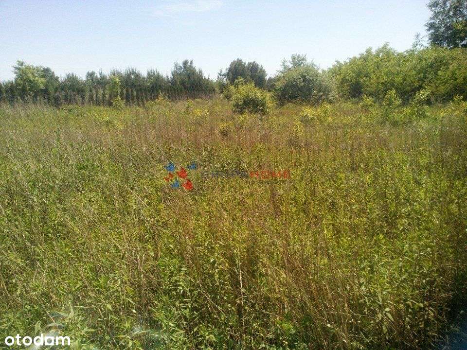 Urokliwa okolica, dobry dojazd do Warszawy-2