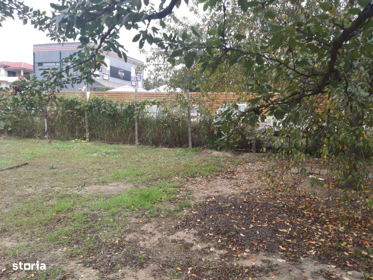 Kamsas -Baba Novac de închiriat teren 721 mp!﻿ - Imagine principală: 4/11