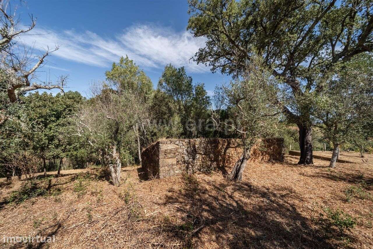 Terreno / Covilhã, Dominguiso - Grande imagem: 4/10