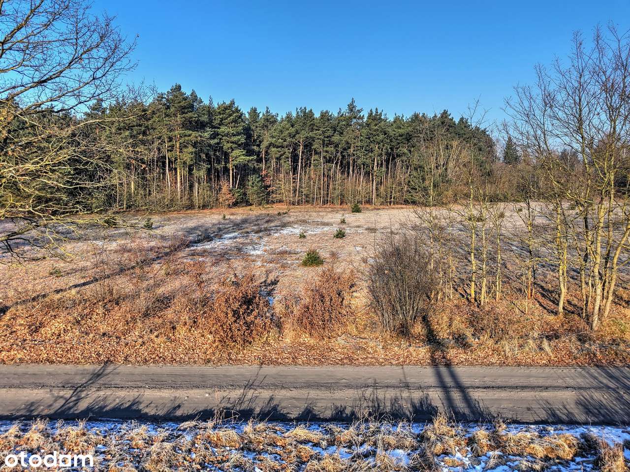 Atrakcyjna działka budowlana przy lesie - Runowo-6