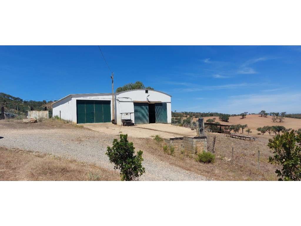 HERDADE 92 ha l Colos-30