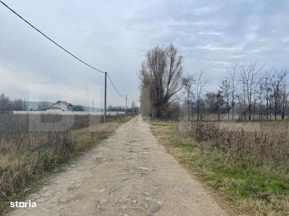 Teren extravilan agricol 5792 mp Popoveni - Imagine principală: 2/4