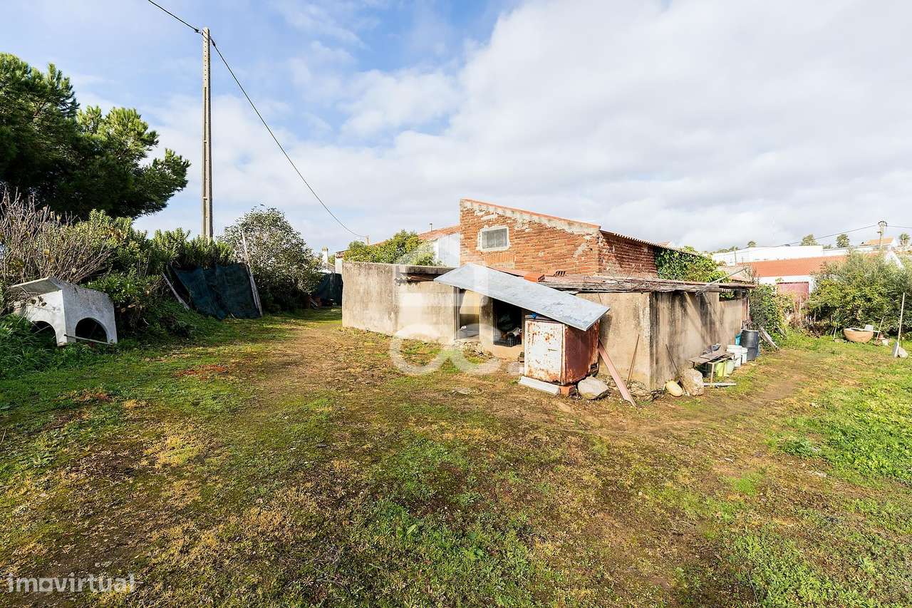 Quinta T5 de 0,9 ha com Moradias e Anexos | Torrão, Alcácer do Sal-33