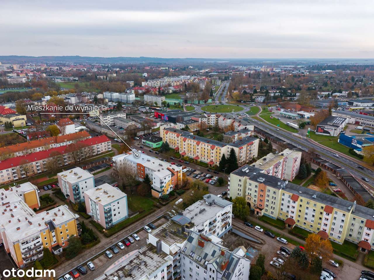 Wysoki standard, wyposażone,  loggia, piwnica, możliwe małe zwierzątko - Pełny obrazek: 2/15