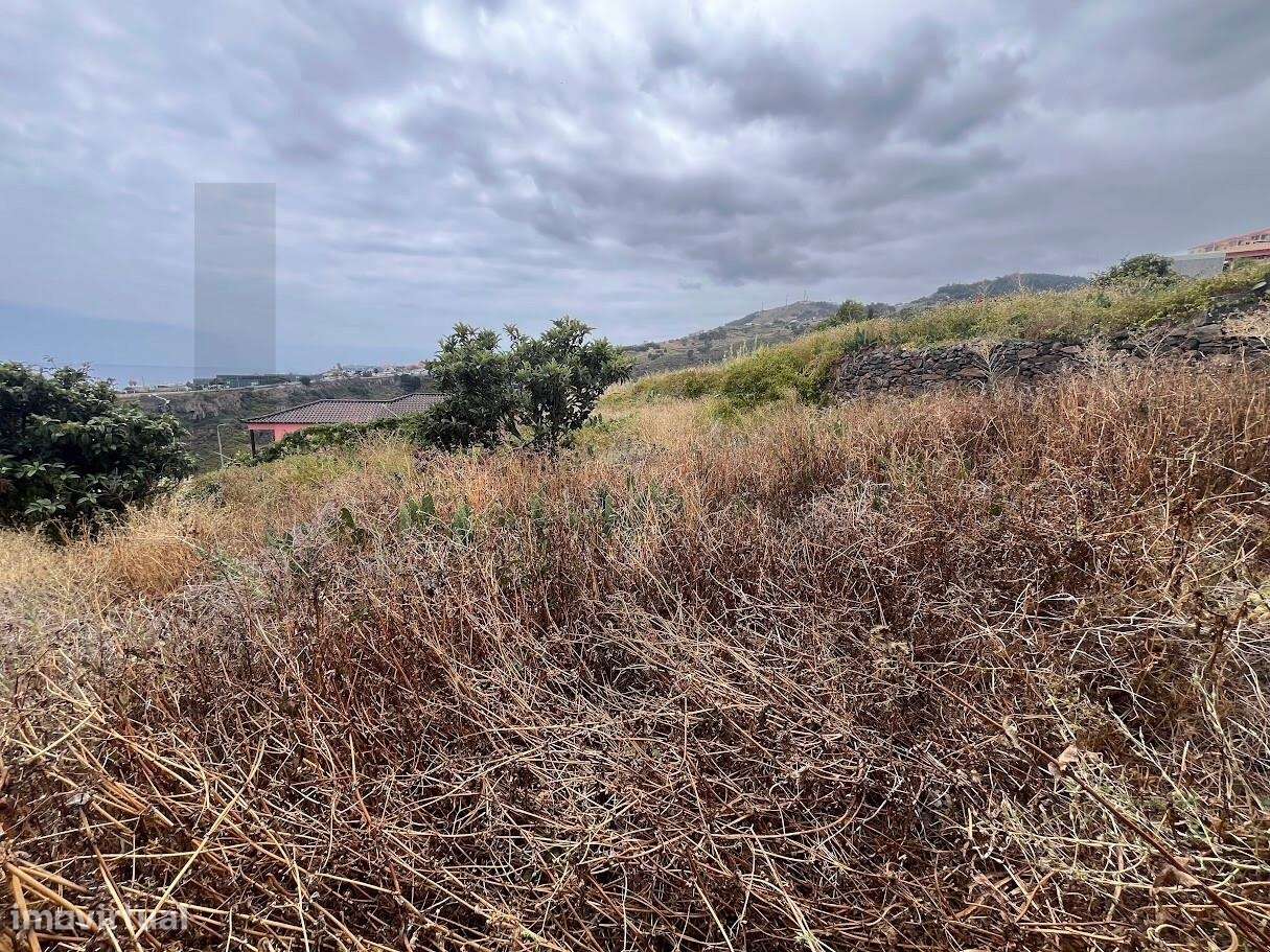 Terreno em Gaula I Construa a sua casa de Sonho-5