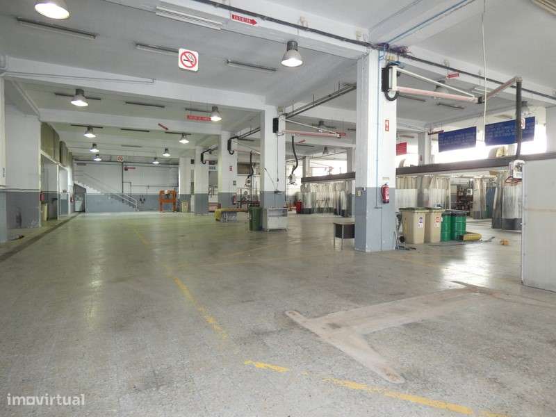 Armazém com 500m2 de área, junto à entrada de Torres Vedras e A8 - Grande imagem: 5/24