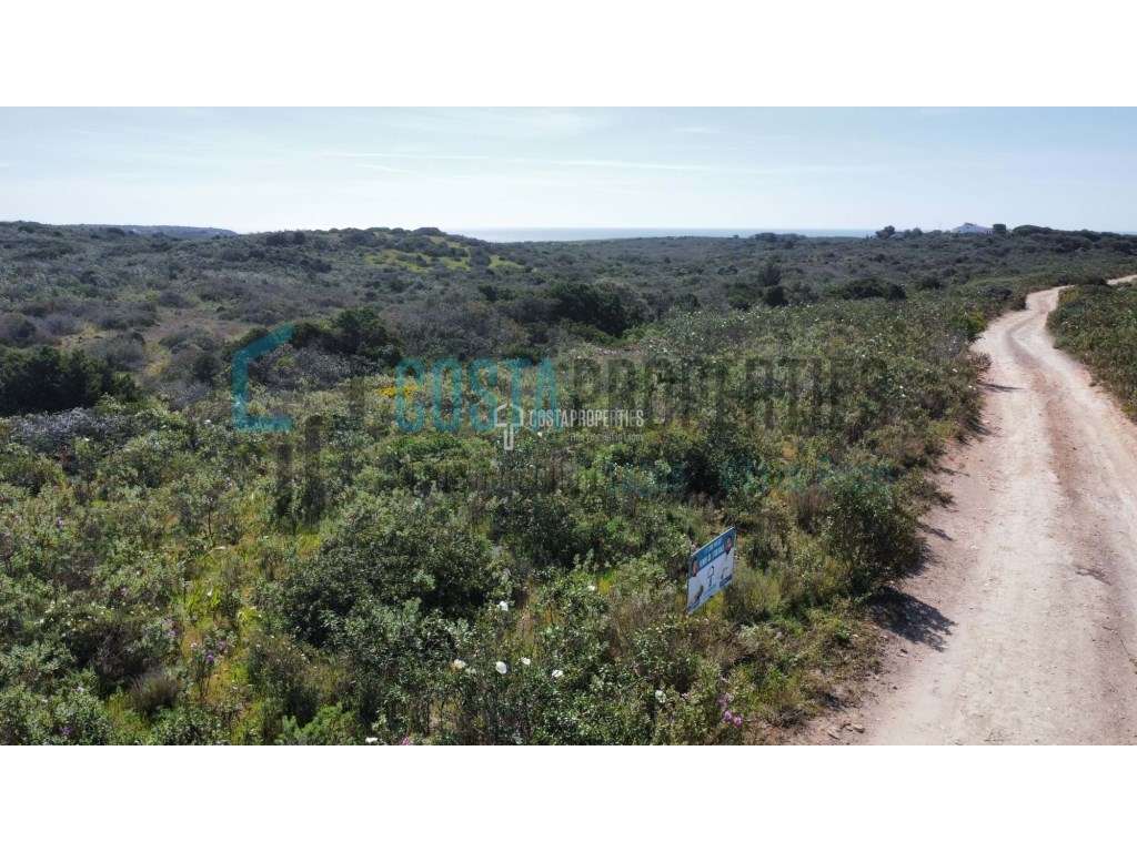 Terreno Rústico com 8000m2 a caminho das Praias - Grande imagem: 2/20