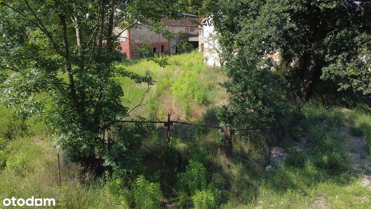 Nieruchomość z potencjałem - zabudowania/działka-3