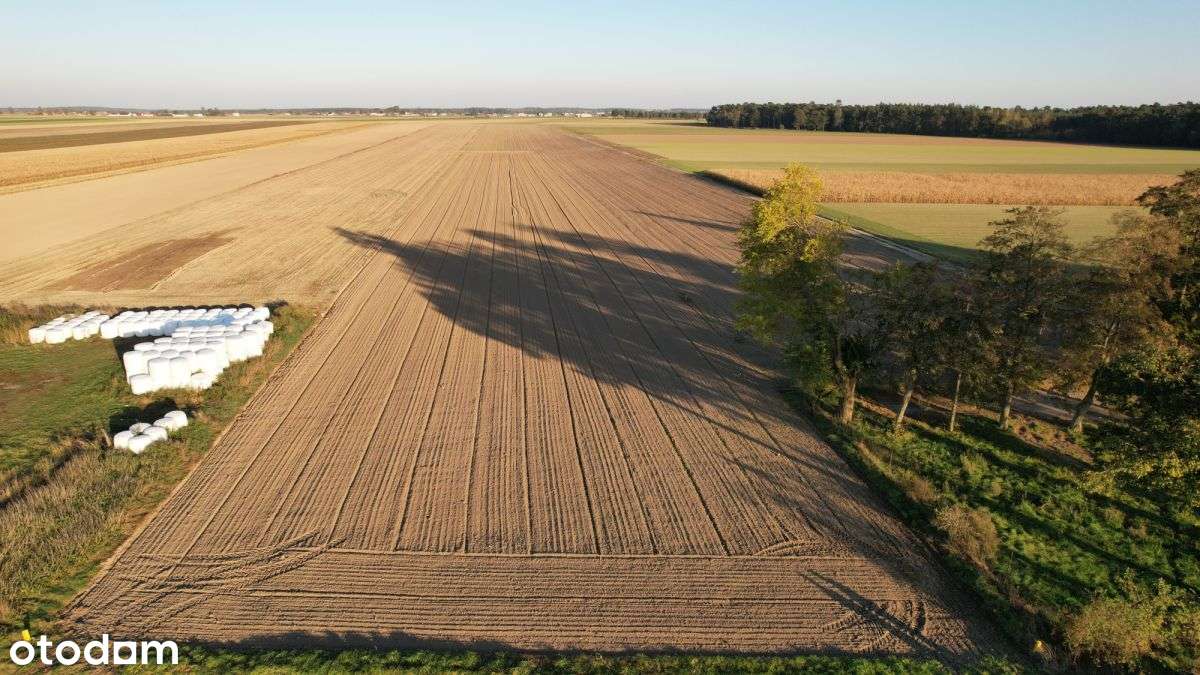Gospodarstwo rolne (2,5439 ha) Strzępiń-6
